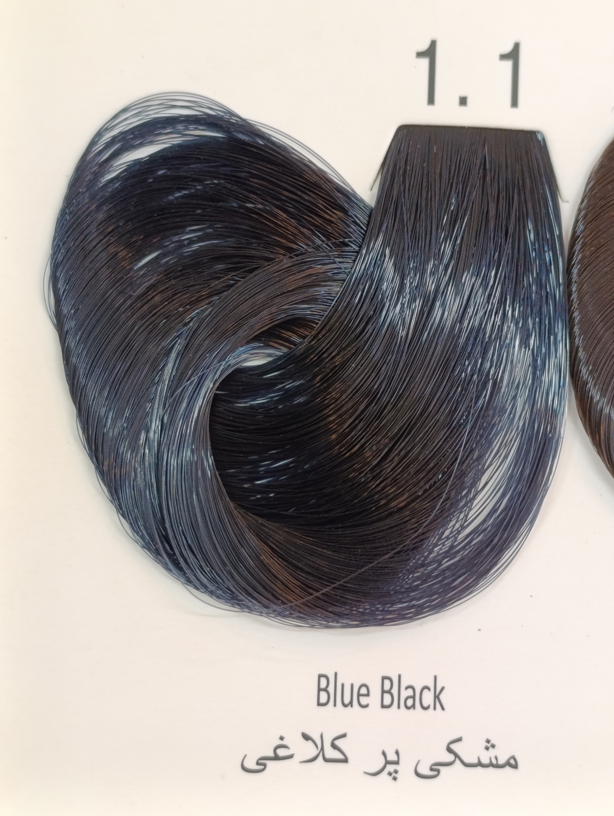 1.1 مشکی پرکلاغی