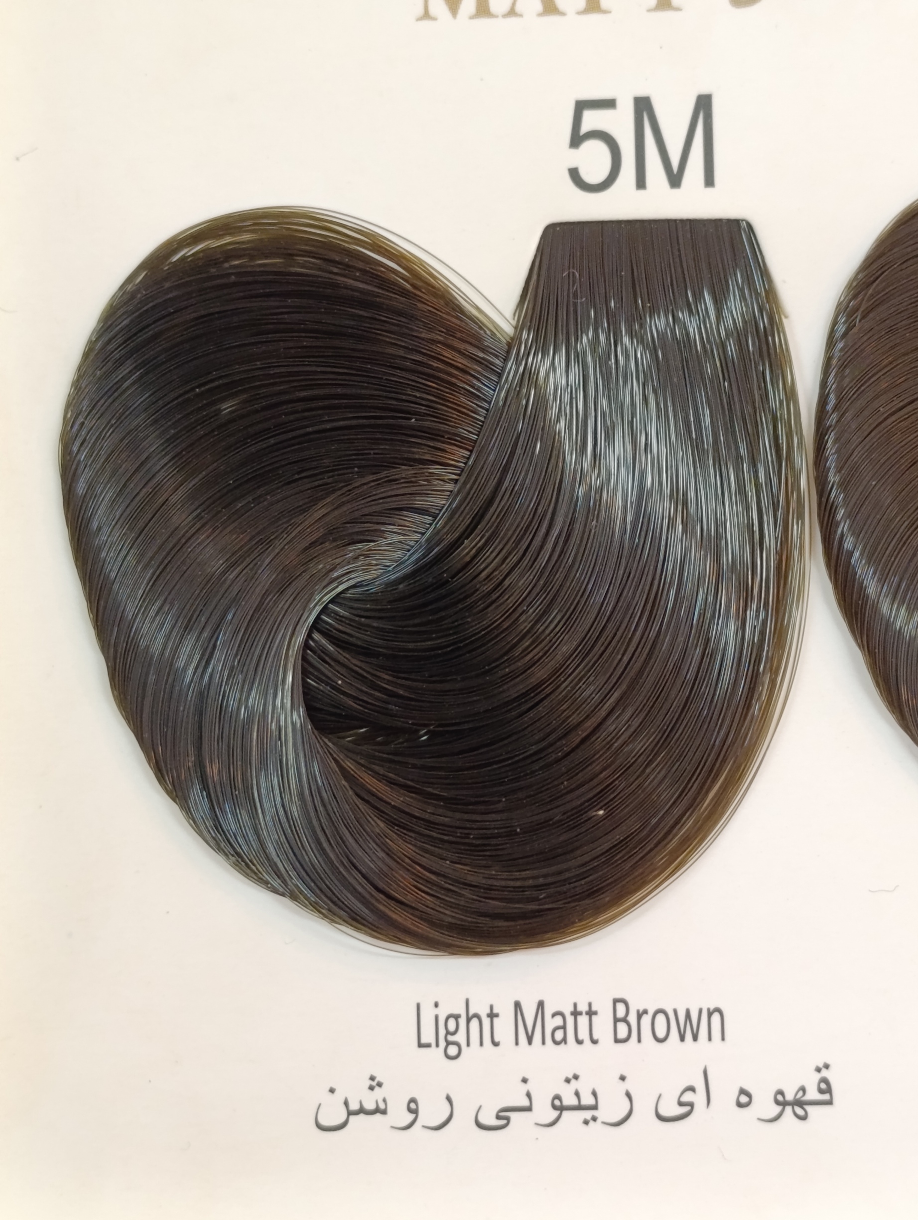 M5 قهوه‌ای زیتونی روشن