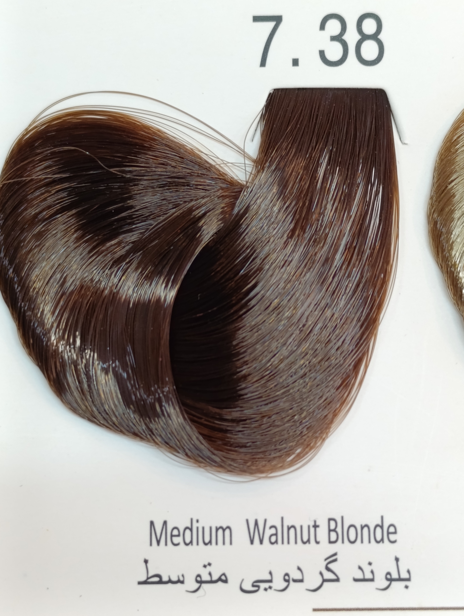7.38 بلوند گردویی متوسط