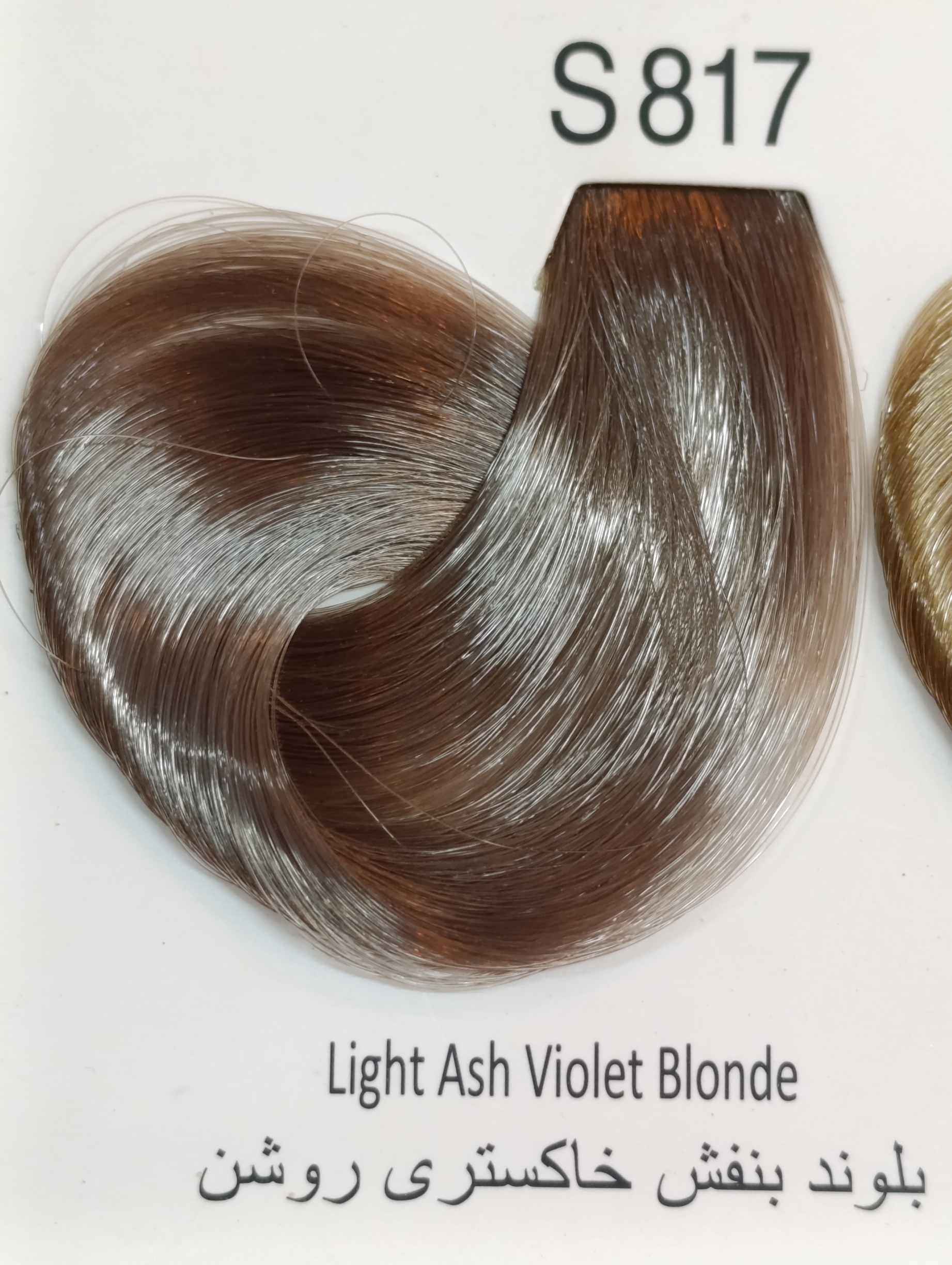 S817 بلوند بنفش خاکستری روشن